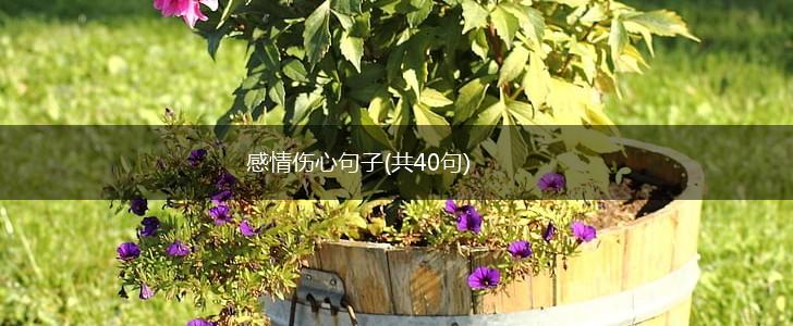 感情伤心句子(共40句),第1张