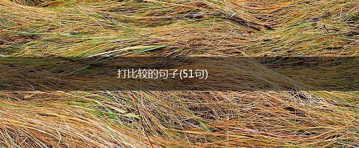 打比较的句子(51句),第1张