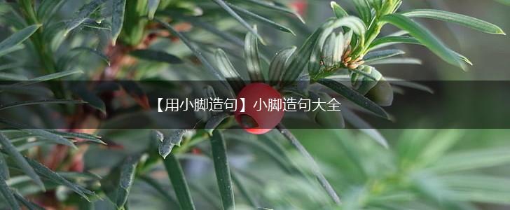 【用小脚造句】小脚造句大全,第1张 【用小脚造句】小脚造句大全,第1张