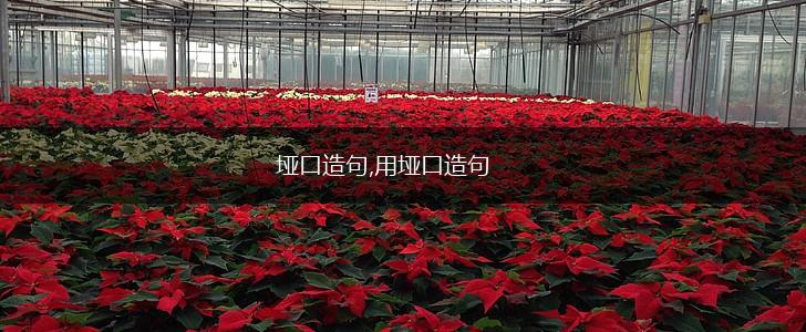 垭口造句,用垭口造句,第1张 垭口造句,用垭口造句,第1张