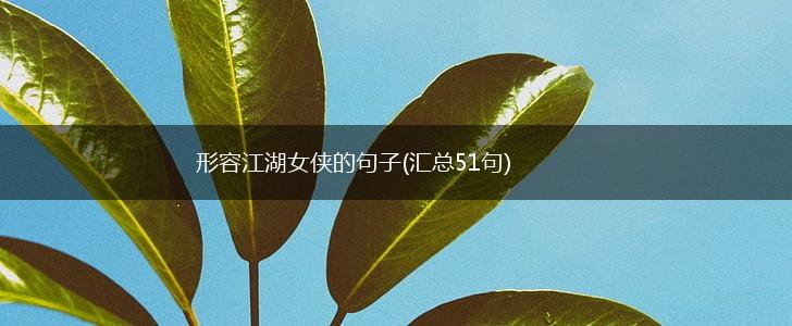 形容江湖女侠的句子(汇总51句),第1张