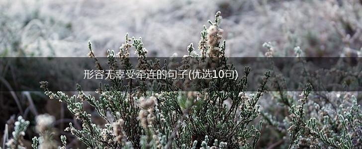 形容无辜受牵连的句子(优选10句),第1张