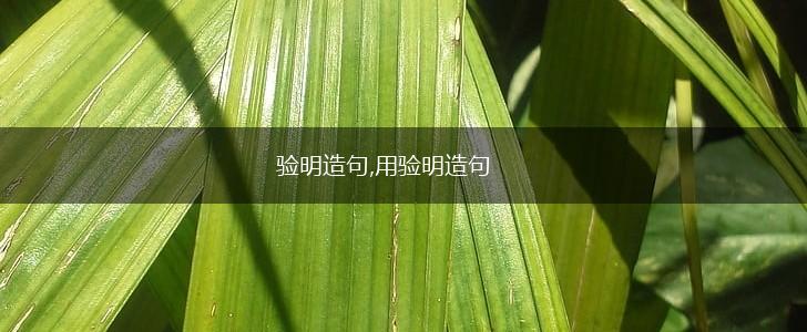 验明造句,用验明造句,第1张 验明造句,用验明造句,第1张