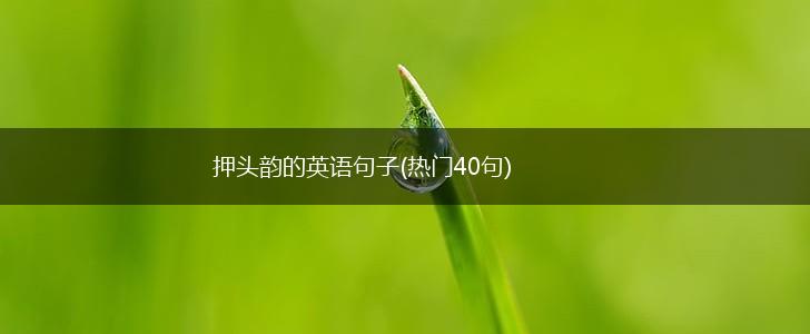 押头韵的英语句子(热门40句),第1张