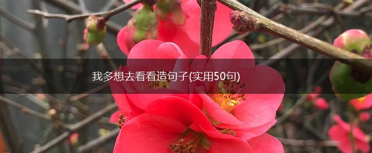 我多想去看看造句子(实用50句),第1张