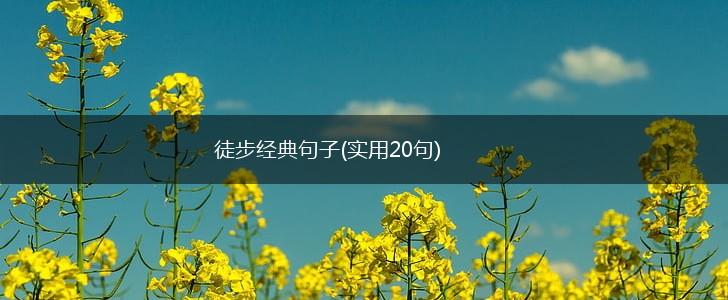 徒步经典句子(实用20句),第1张