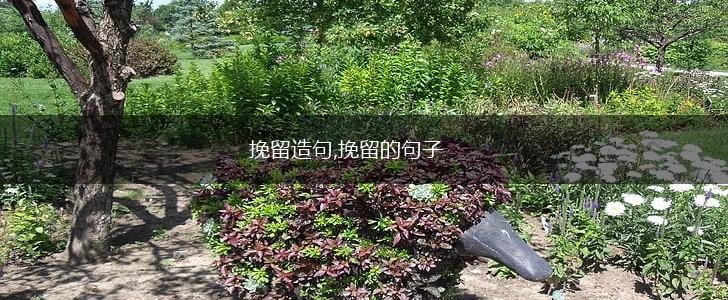 挽留造句,挽留的句子,第1张 挽留造句,挽留的句子,第1张