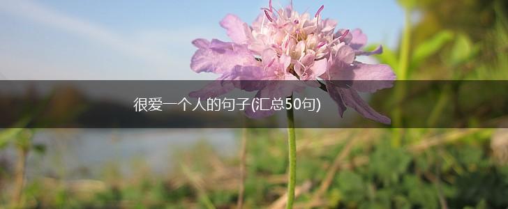很爱一个人的句子(汇总50句),第1张