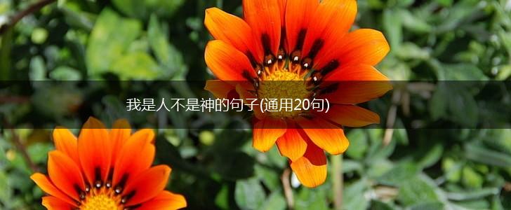 我是人不是神的句子(通用20句),第1张