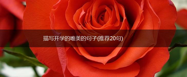 描写开学的唯美的句子(推荐20句),第1张