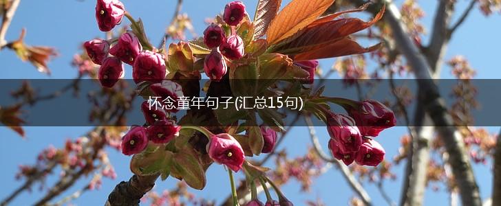 怀念童年句子(汇总15句),第1张