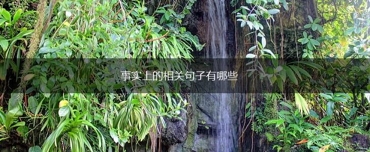 事实上的相关句子有哪些,第1张