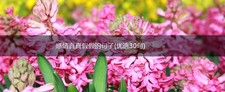 感情真真假假的句子(优选30句),第1张