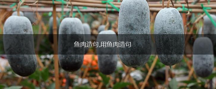 鱼肉造句,用鱼肉造句,第1张 鱼肉造句,用鱼肉造句,第1张