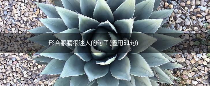 形容眼睛很迷人的句子(通用51句),第1张