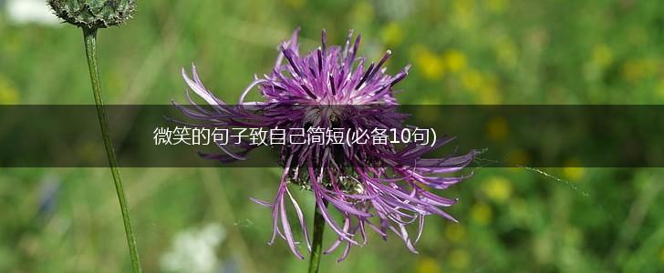 微笑的句子致自己简短(必备10句),第1张