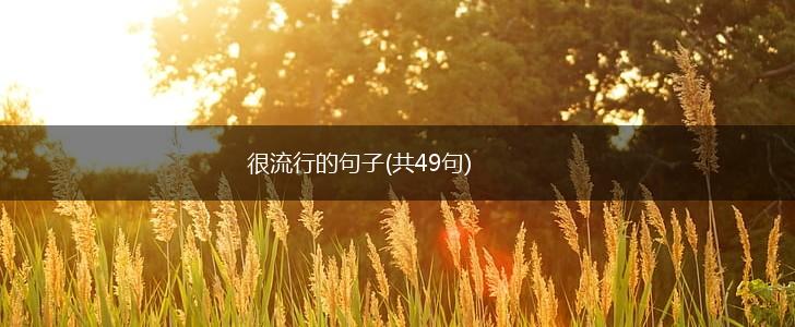 很流行的句子(共49句),第1张