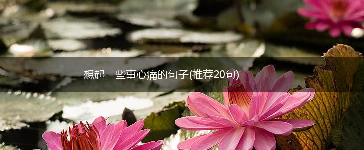 想起一些事心痛的句子(推荐20句),第1张