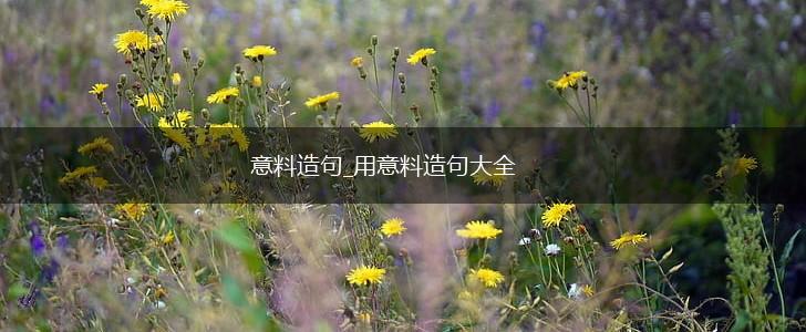 意料造句_用意料造句大全,第1张 意料造句_用意料造句大全,第1张