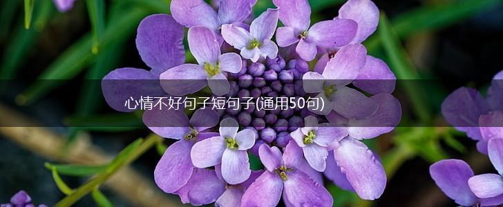 心情不好句子短句子(通用50句),第1张