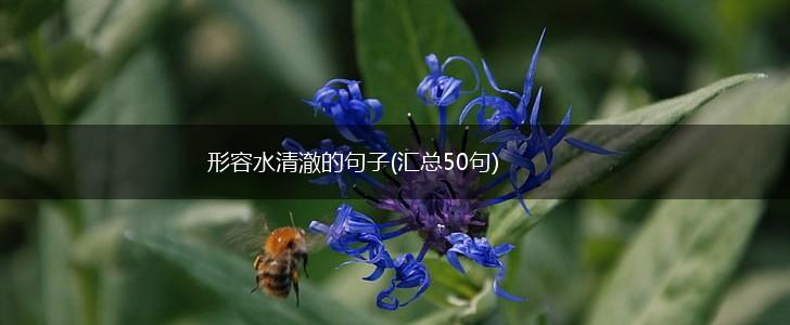 形容水清澈的句子(汇总50句),第1张