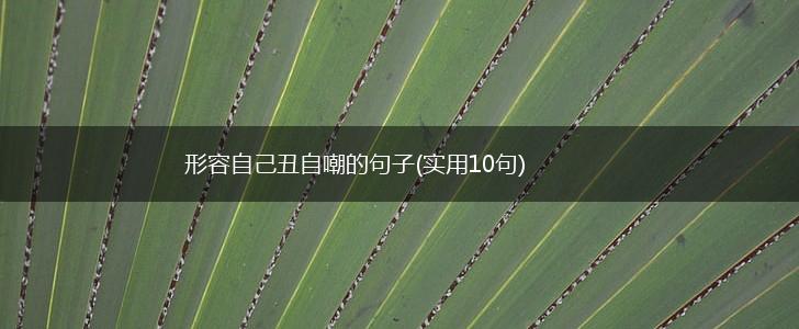 形容自己丑自嘲的句子(实用10句),第1张