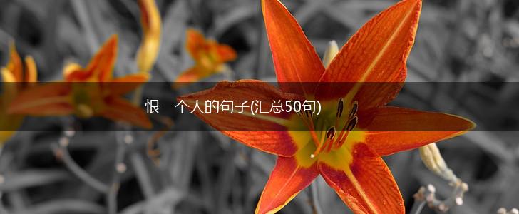 恨一个人的句子(汇总50句),第1张