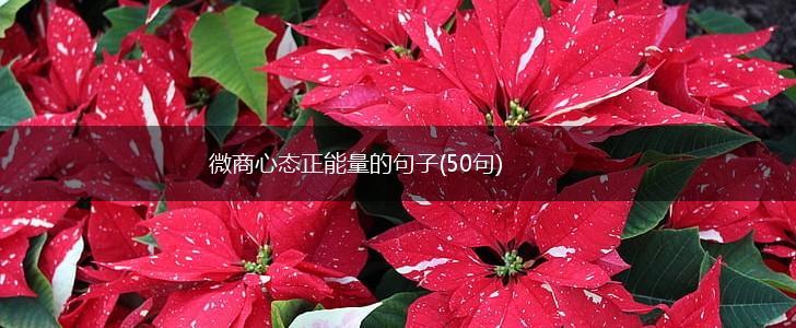微商心态正能量的句子(50句),第1张
