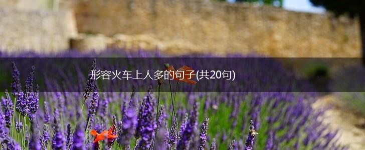 形容火车上人多的句子(共20句),第1张