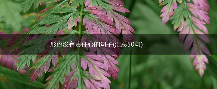 形容没有责任心的句子(汇总50句),第1张