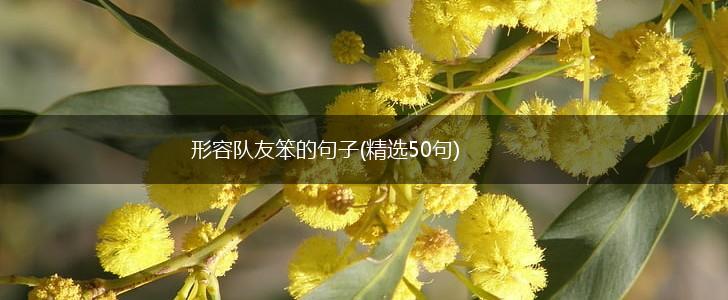 形容队友笨的句子(精选50句),第1张
