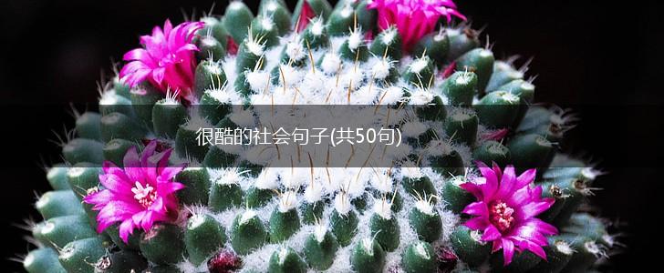 很酷的社会句子(共50句),第1张