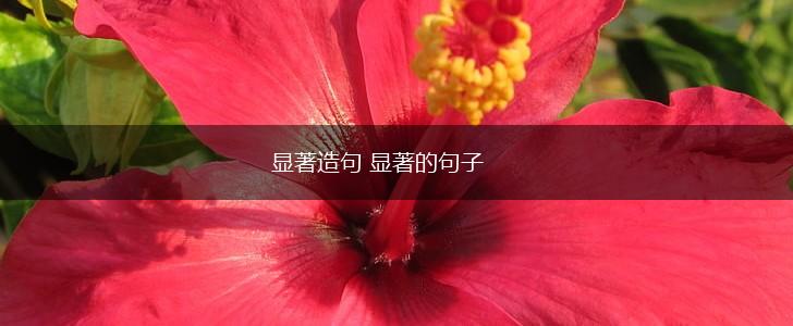 显著造句 显著的句子,第1张 显著造句 显著的句子,第1张