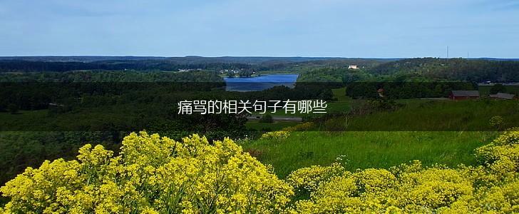 痛骂的相关句子有哪些,第1张 痛骂的相关句子有哪些,第1张