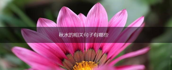 秋水的相关句子有哪些,第1张 秋水的相关句子有哪些,第1张