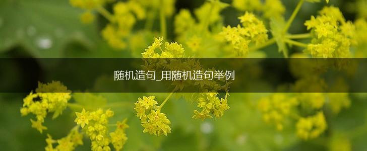 随机造句_用随机造句举例,第1张 随机造句_用随机造句举例,第1张