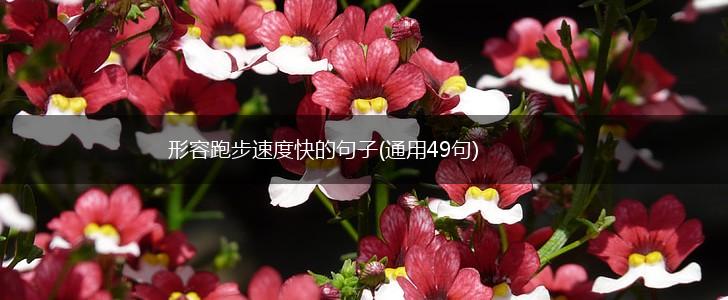 形容跑步速度快的句子(通用49句),第1张