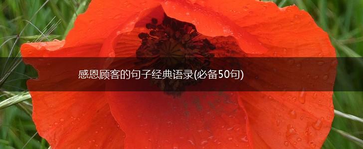 感恩顾客的句子经典语录(必备50句),第1张