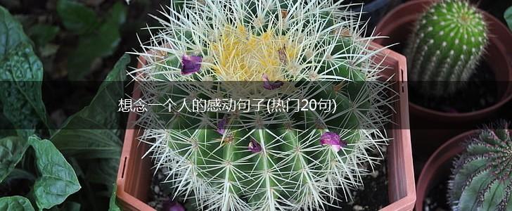 想念一个人的感动句子(热门20句),第1张