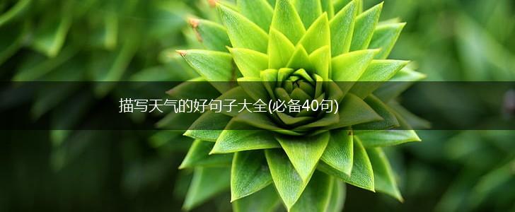 描写天气的好句子大全(必备40句),第1张