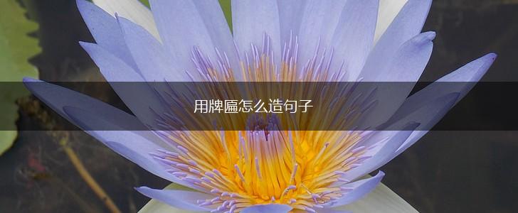 用牌匾怎么造句子,第1张 用牌匾怎么造句子,第1张