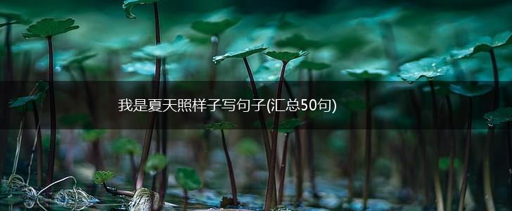我是夏天照样子写句子(汇总50句),第1张