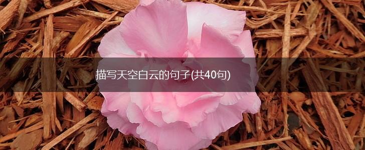 描写天空白云的句子(共40句),第1张