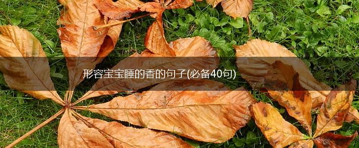 形容宝宝睡的香的句子(必备40句),第1张