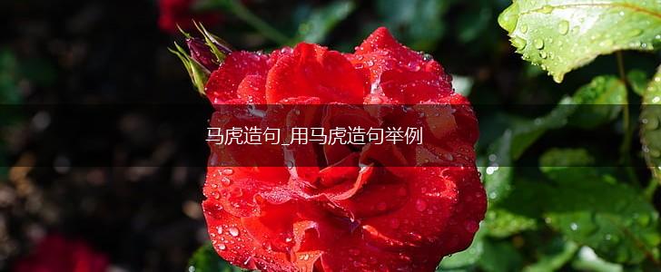 马虎造句_用马虎造句举例,第1张 马虎造句_用马虎造句举例,第1张
