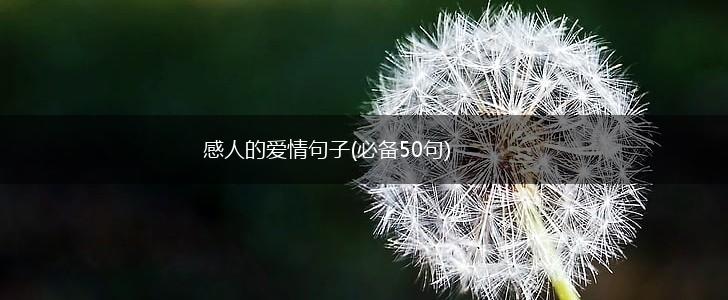 感人的爱情句子(必备50句),第1张