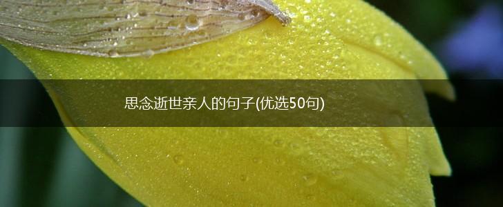 思念逝世亲人的句子(优选50句),第1张