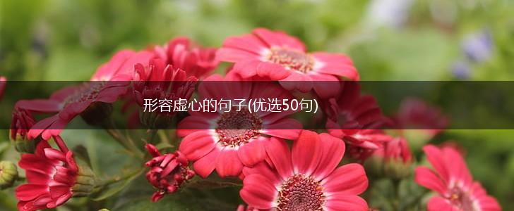 形容虚心的句子(优选50句),第1张