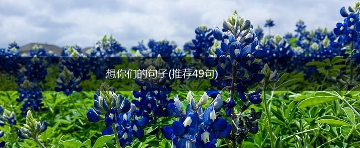 想你们的句子(推荐49句),第1张