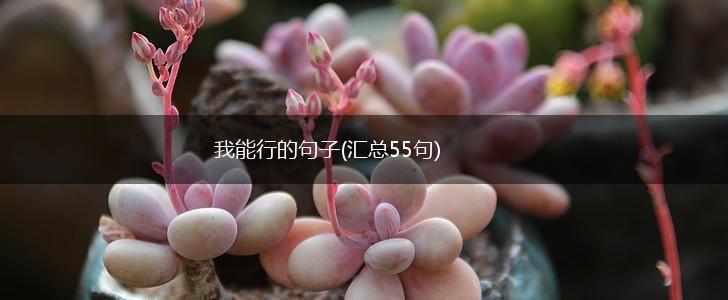 我能行的句子(汇总55句),第1张